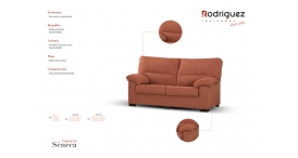 CONJUNTO SOFA 3+ 2 SENECA