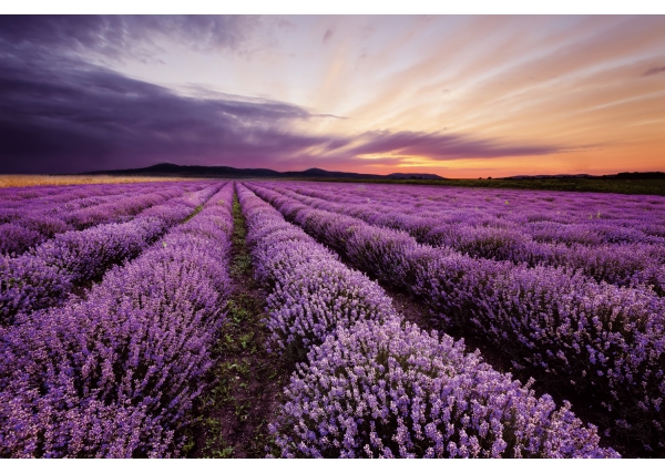 FOTO CRISTAL Nº 014