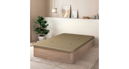 CANAPE GUADIANA CAMBRIAN